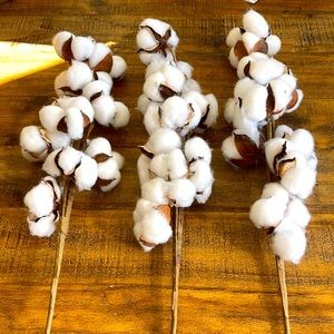 Three Stems Cotton